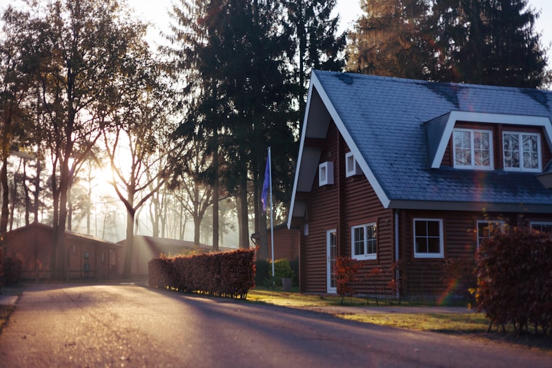 Residential street with trees and contemporary low-rise housing